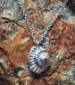 Fossil Necklace. - Image 4