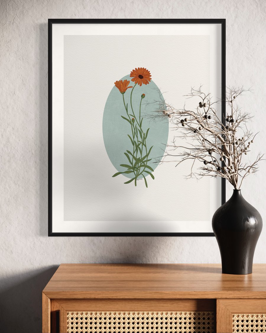 Calendula Flower Botanical Illustration Art Print
