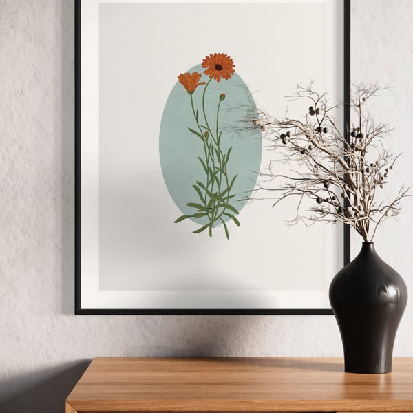 Calendula Flower Botanical Illustration Art Print