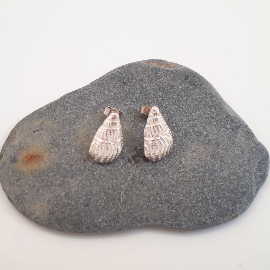 Fine silver shell studs