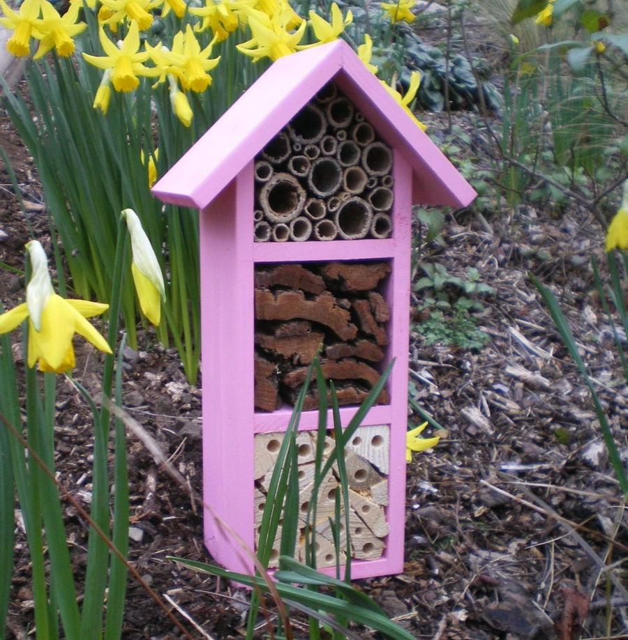 Three Tier Bee Hotel, in 'Bubblegum'