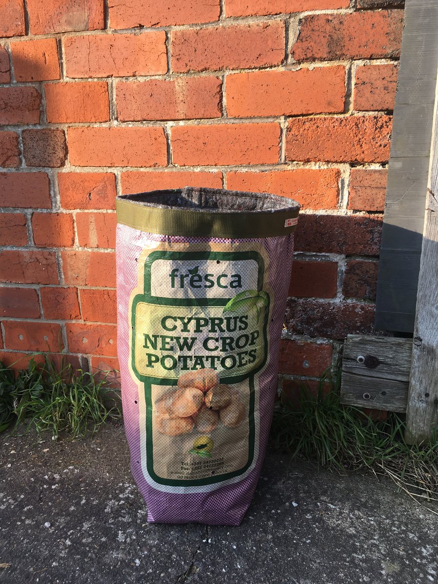 EXTRA LARGE PLANTER - Essential Tidy