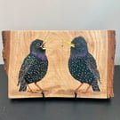 Starlings original painting on oak wood