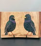 Starlings original painting on oak wood
