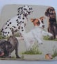 Set of 4 decoupaged jack russell and friends dog coasters. - Image 5