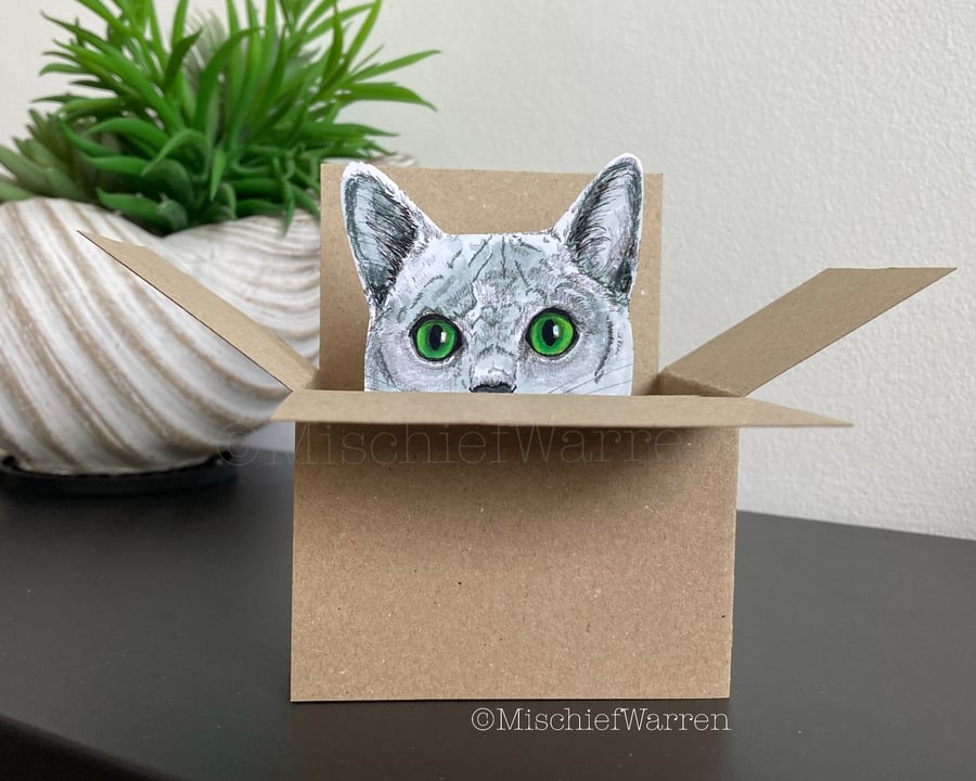 Grey Cat Card - Cat in a box card. Blank or Personalised 3D Gift card holder