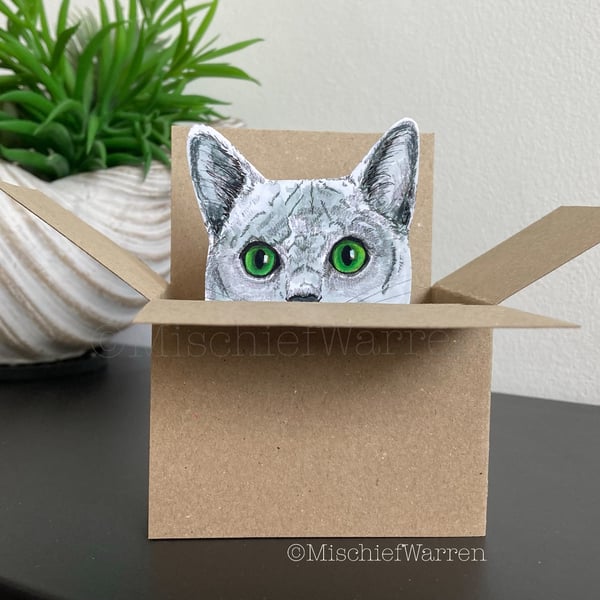 Grey Cat Card - Cat in a box card. Blank or Personalised 3D Gift card holder