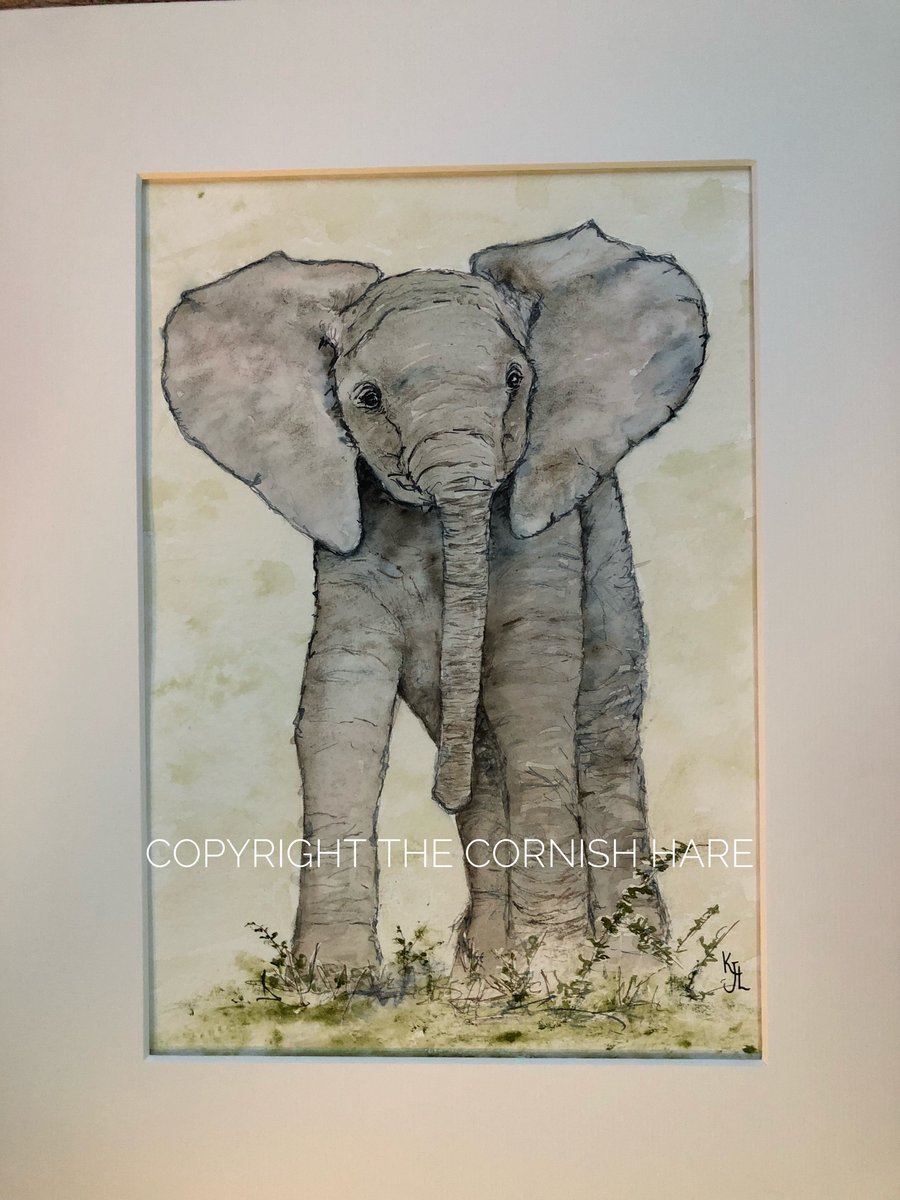 Original watercolour of Tembo the Elephant, mounted 