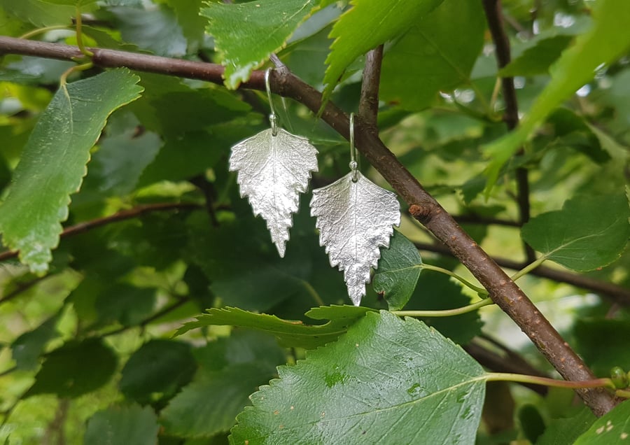 Silver Birch Earrings large