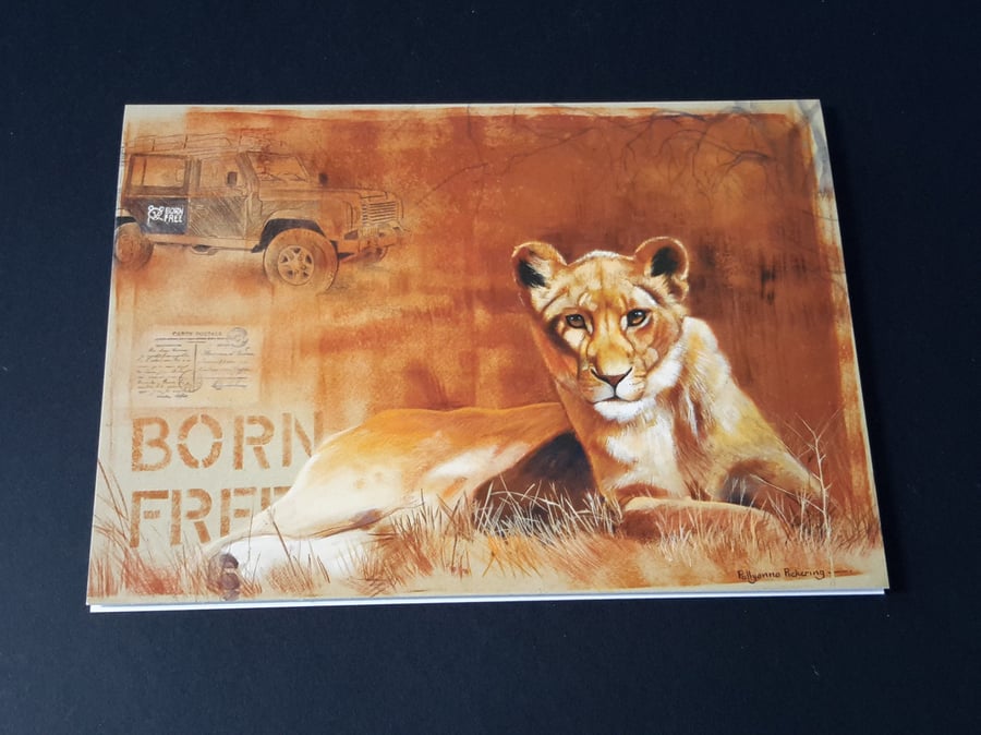 Born Free Lioness Blank Greeting Card - Wildlife Artwork by Pollyanna Pickering