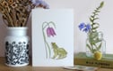 Cards and Stationery