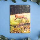 Deer at Glen Etive - Landscape Greeting Card & Envelope