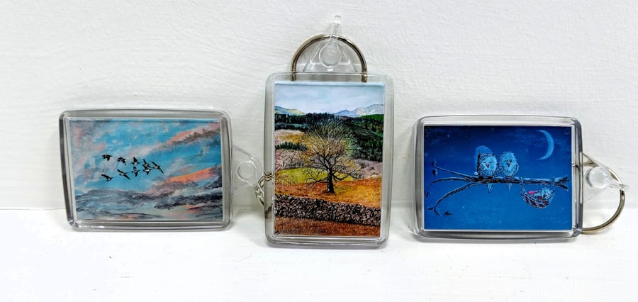 Keyrings with designs taken from my original paintings