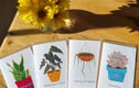 Cards