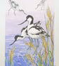 Avocet at the Water's Edge, original bird illustration, nature artwork - Image 6