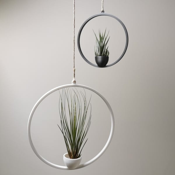 Hanging Air Plant Hanger, Ring Design With Pot, Home Décor, Air Plant Holder