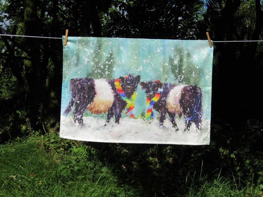 Belted Galloway Cow Winter Tea Towel Gift.