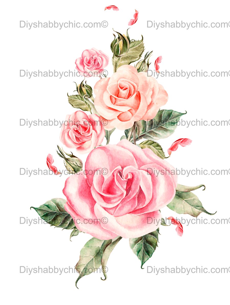 Waterslide Wood Furniture Decal Vintage Image Transfer Shabby Chic Rose Drawing