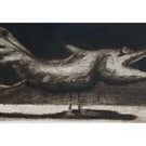 Original dry point etching of an imaginary bird.