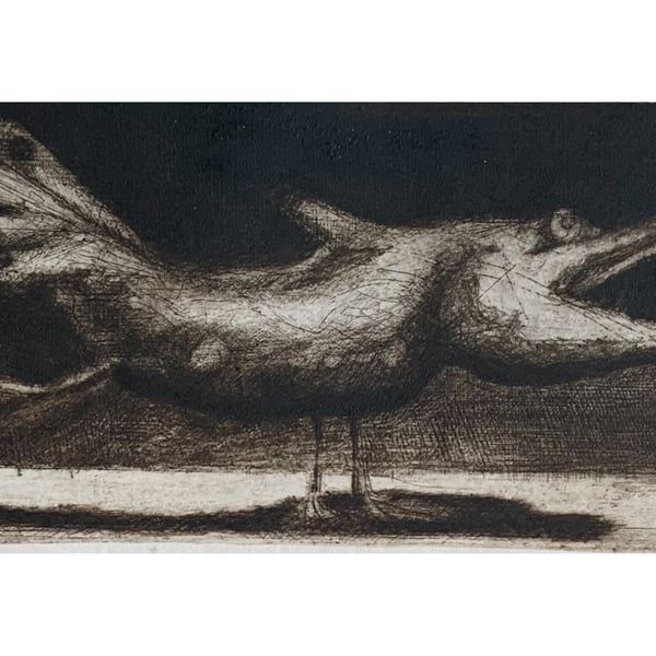 Original dry point etching of an imaginary bird.