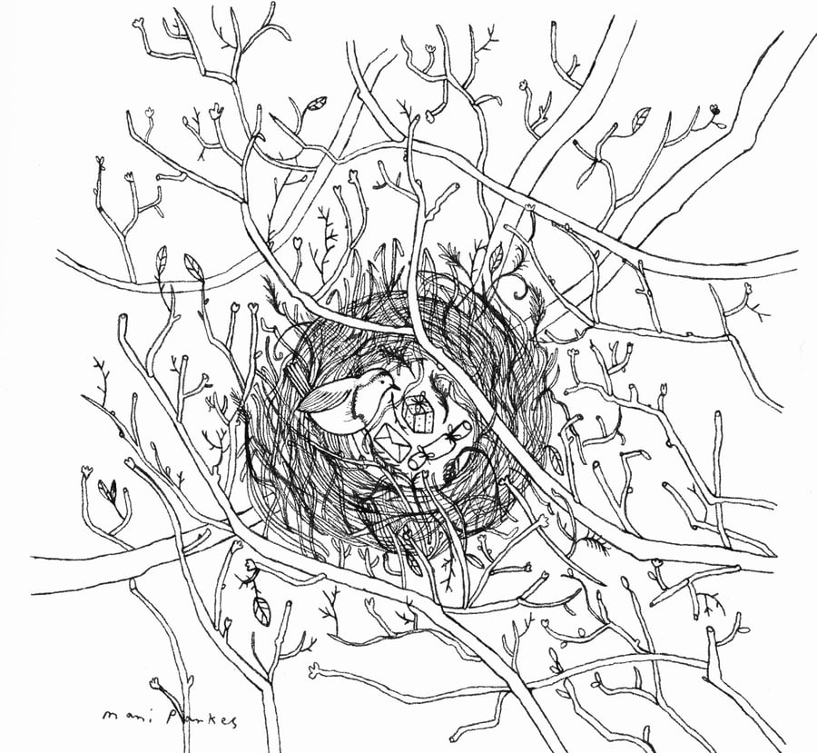 Among The Winter Branches