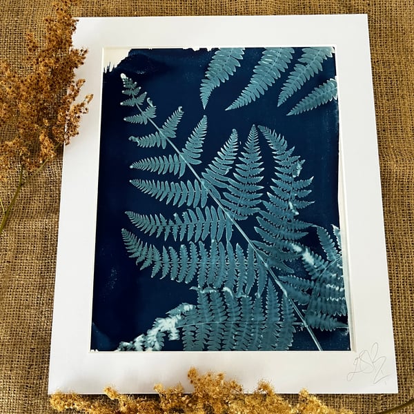 Fern Mounted Print 2