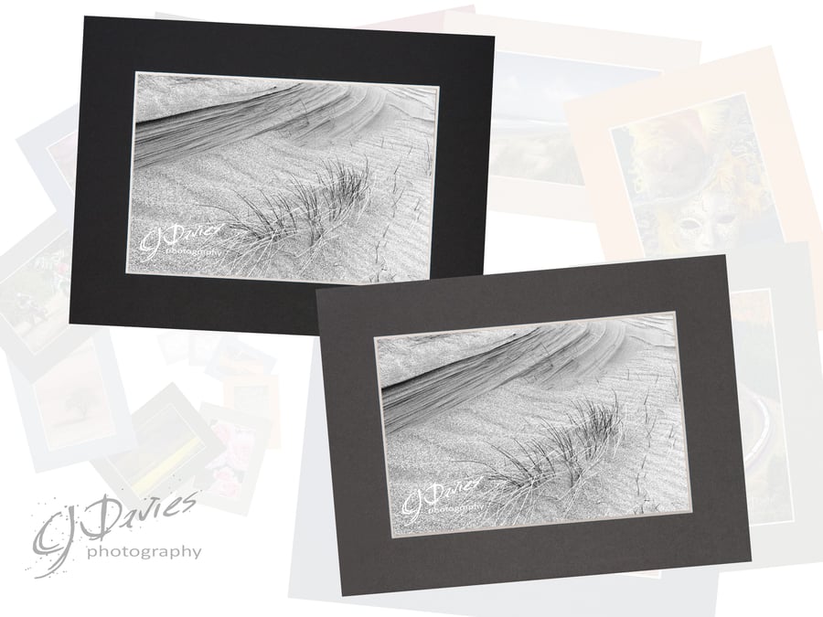 CJ248 - Shaped by the wind