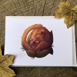 Dormouse Greeting Card