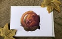 Seasons Giftings
