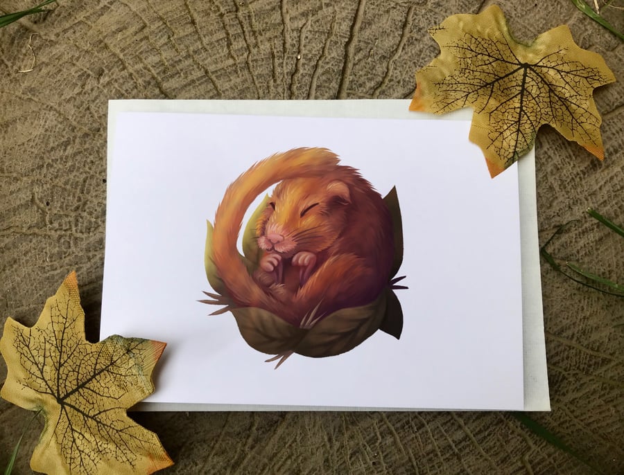 Dormouse Greeting Card