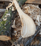 Hand Carved Wooden Spoon  - Image 6