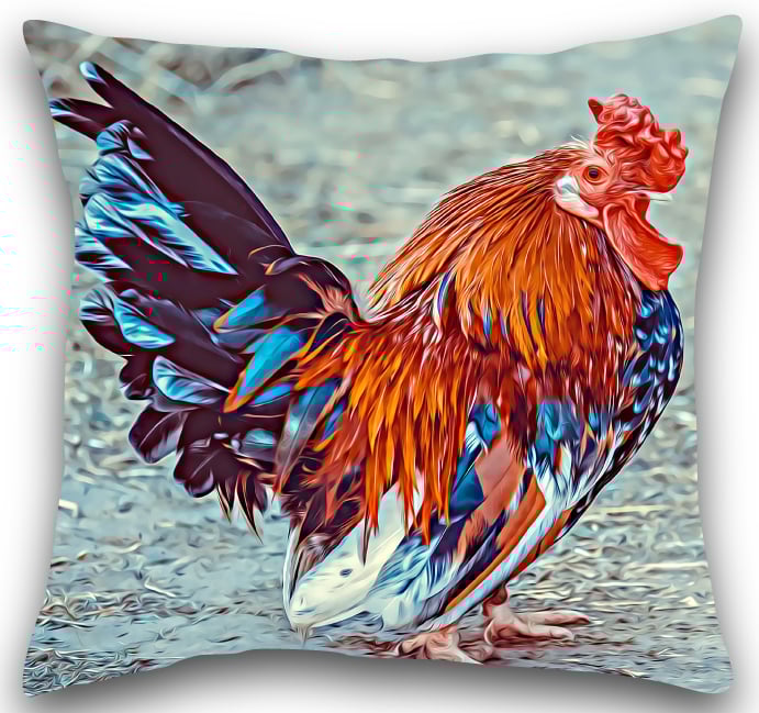 Hen Cushion Hen pillow 