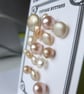 16 Vintage Glass Pearl Buttons - Image 3