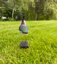 Lapwing (Peesie) - Image 4