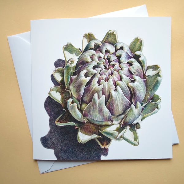 Greetings card - blank – Globe Artichoke