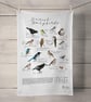 British Songbirds -  100% Organic Cotton Tea Towel