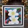 Blank Christmas Card Hellebores, Christmas Rose Handpainted Watercolour Keepsake