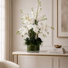  Luxury White Orchid Arrangement Gift Wrapped – Premium Phalaenopsis