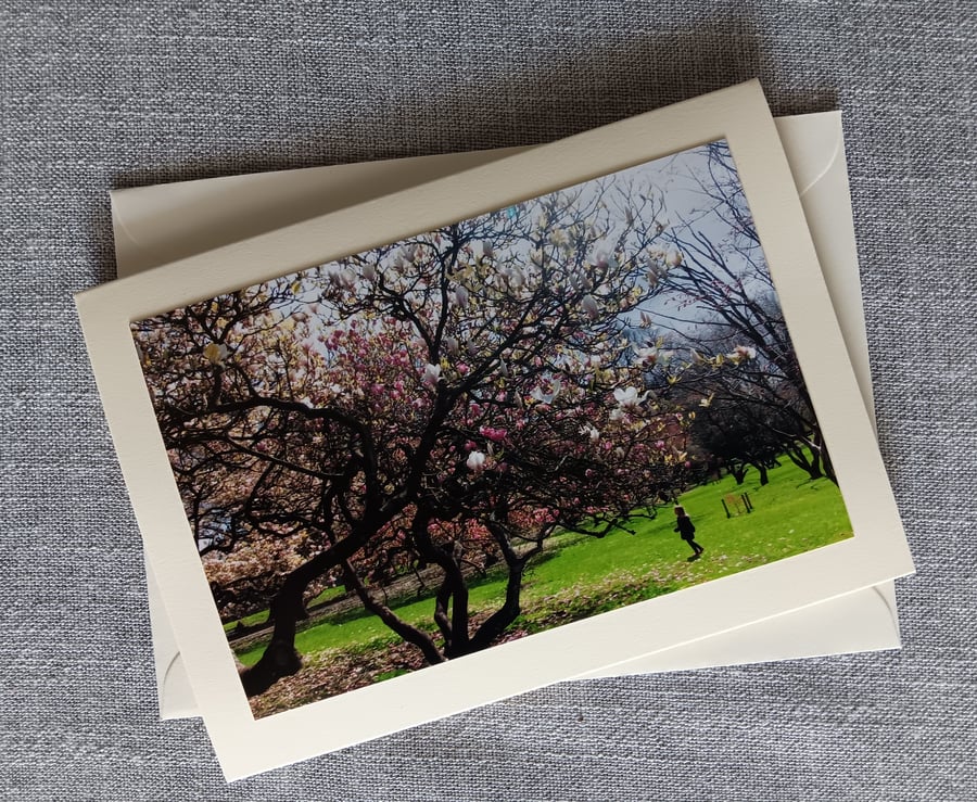 Spring Scene in Bute Park, Cardiff Photographic Card Size 7" x 5" BLANK