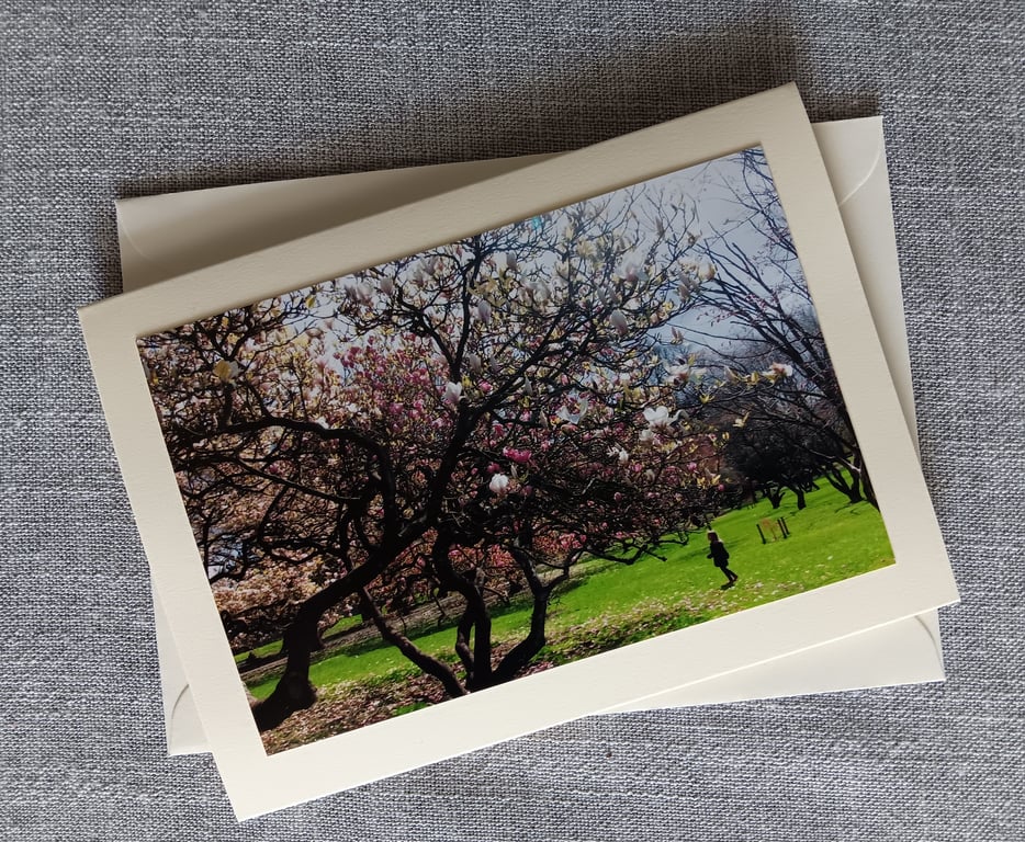 Spring Scene in Bute Park, Cardiff Photographic Card Size 7" x 5" BLANK