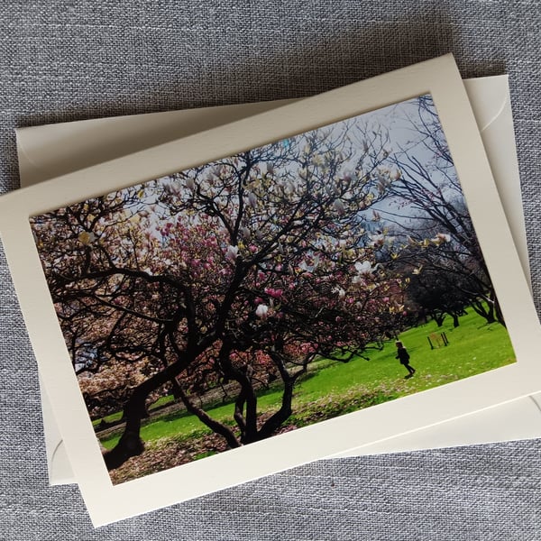 Spring Scene in Bute Park, Cardiff Photographic Card Size 7" x 5" BLANK