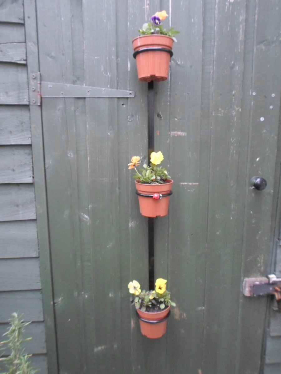 Ladybug. Ladybird Plant Pot Display Rail.........Wrought Iron (Forged Steel)