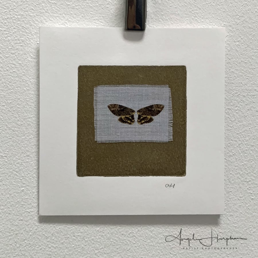 Art Card - Blank - Brown Butterfly on Muslin on Original Lino Print