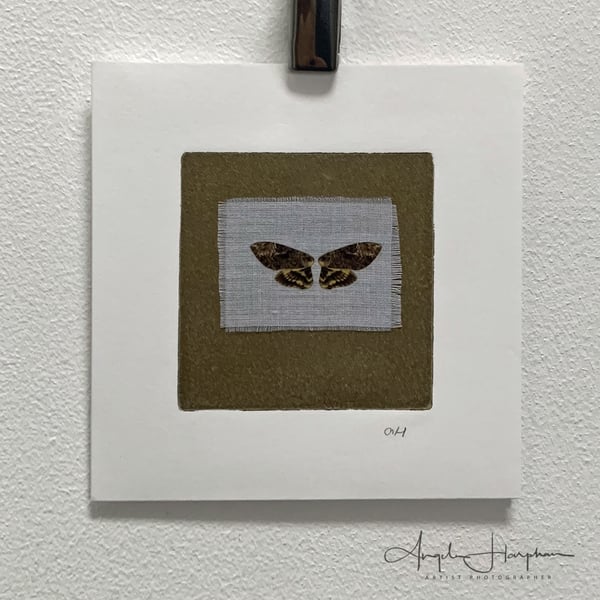 Art Card - Blank - Brown Butterfly on Muslin on Original Lino Print