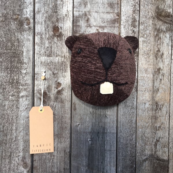 Wall mounted Beaver head