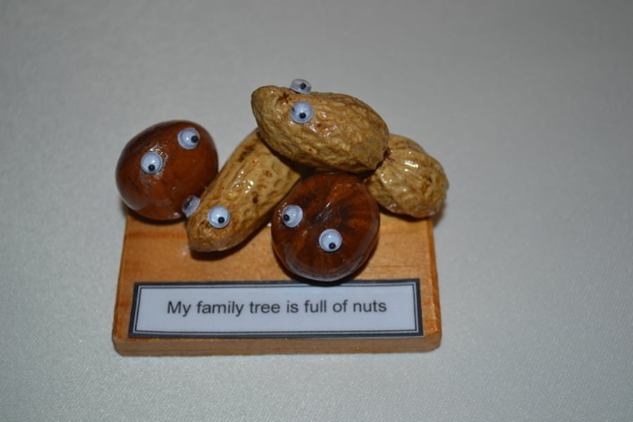 "Family Nuts" Nutty Gift