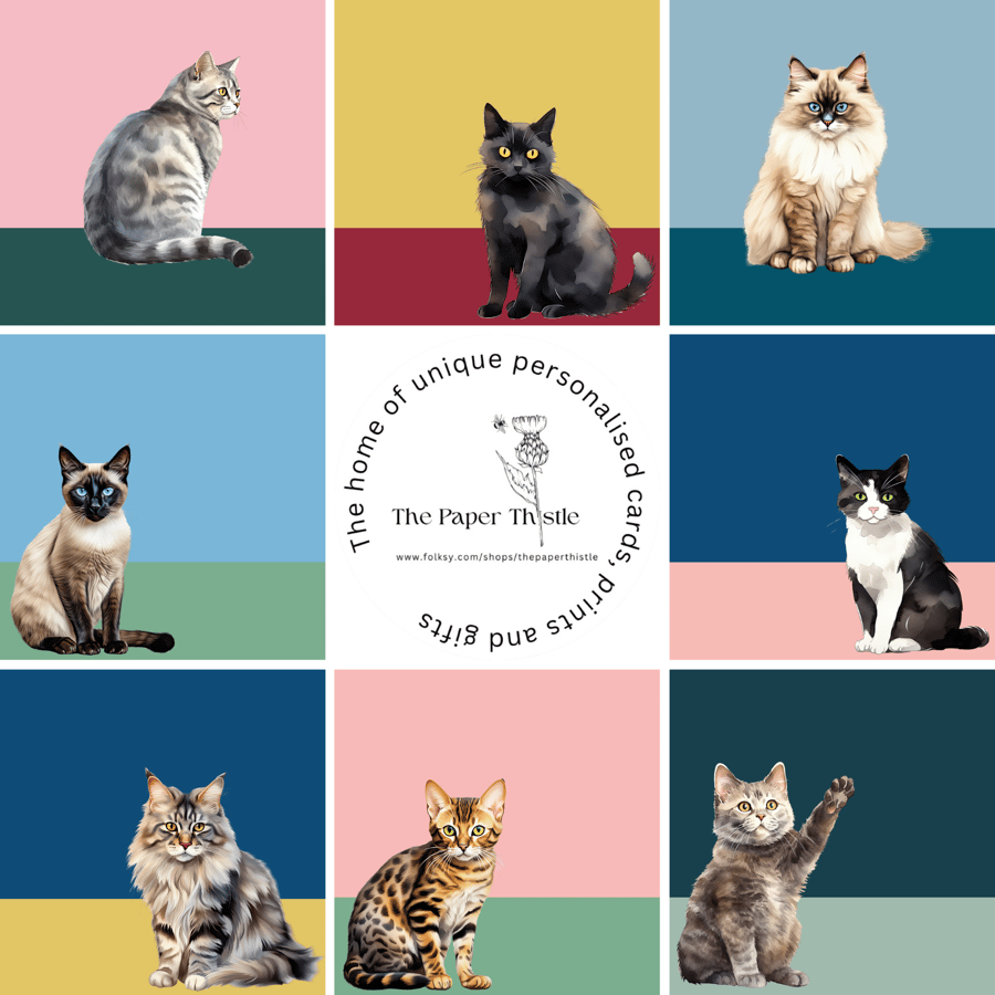 Feline Friends Cards - Box Set of 8 cute cat designed Illustrated cards