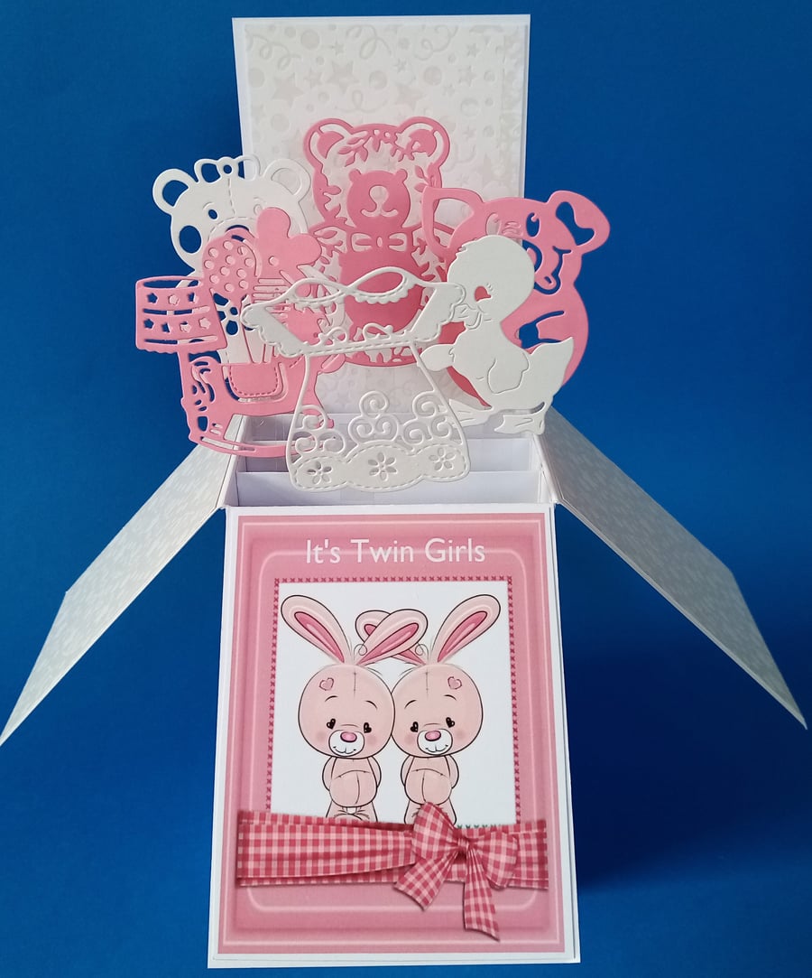 Twin Baby Girl's Card