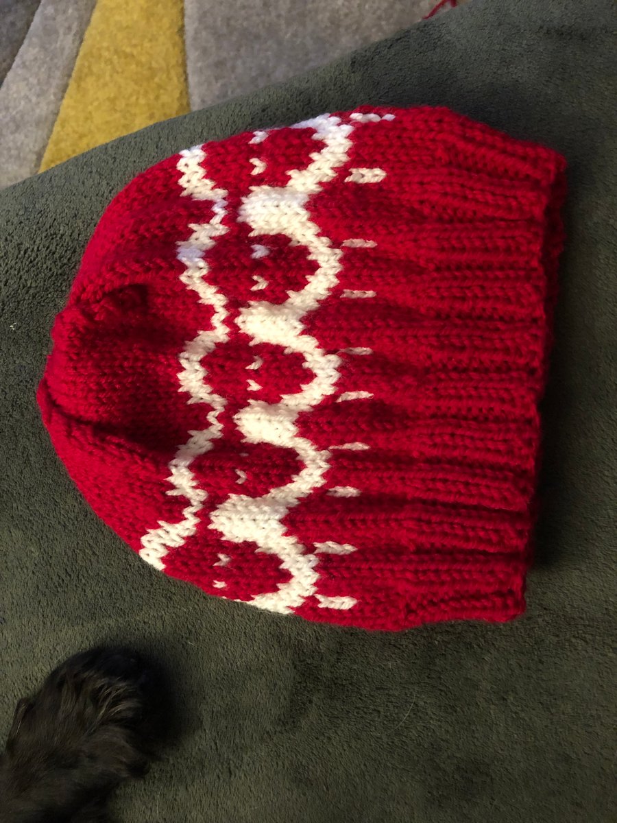 Adult Beanie Hat