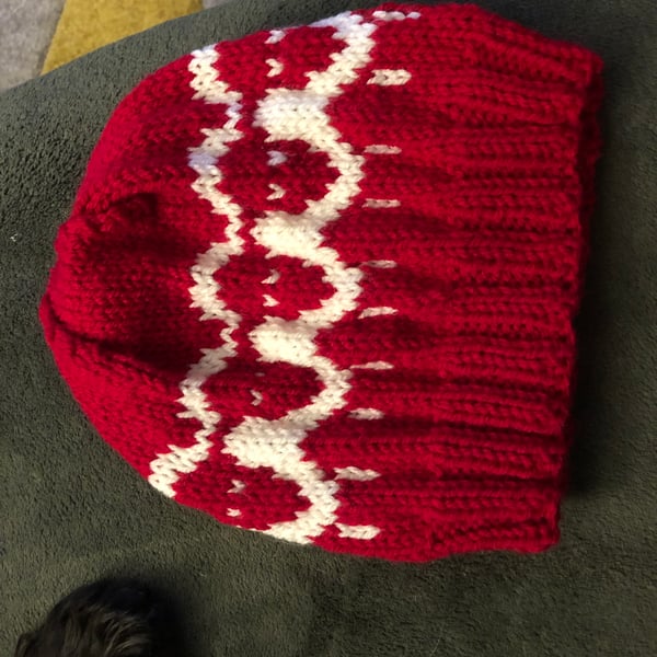 Adult Beanie Hat